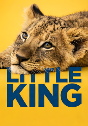 Cute Sleeping Lion Cub Yellow Background