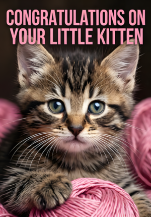 Cute Kitten With Pink Yarn
