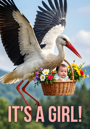 Flying Stork Basket Flowers Baby
