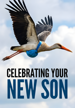 Flying Stork With Blue Bundle Soft Clouds