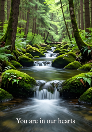 Forest Stream Hearts