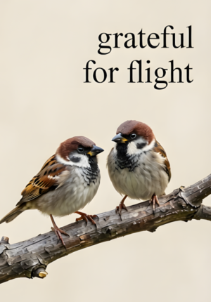 Grateful For Flight