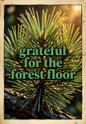 Grateful For Forest Floor