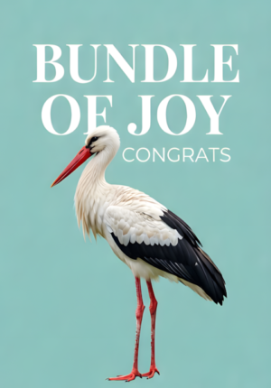 Pastel Teal Background Stork