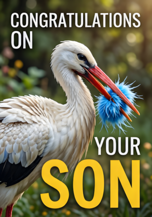 Stork Carrying Blue Bundle