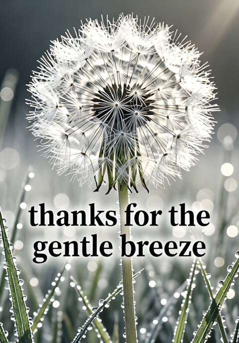 Thanks For Gentle Breeze