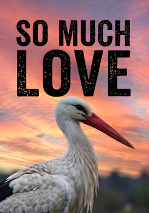 White Stork Pink Sunset Sky