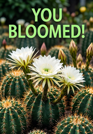 Cactus Garden With Flowers You Bloomed