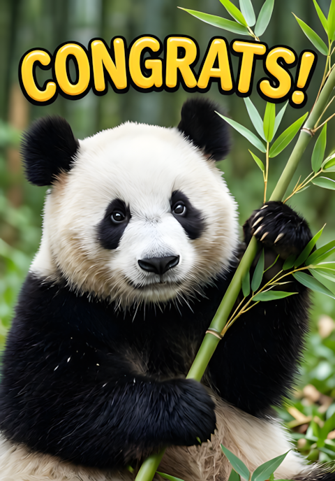 Panda Waving Bamboo Congrats