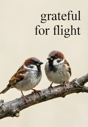 Grateful For Flight