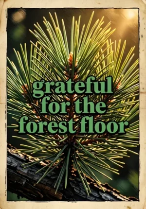 Grateful For Forest Floor