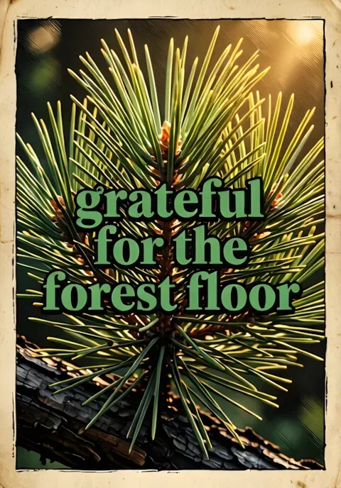 Grateful For Forest Floor