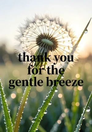 Thank You Gentle Breeze