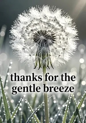 Thanks For Gentle Breeze