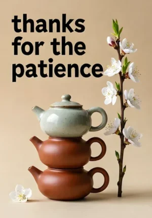 Thanks For The Patience