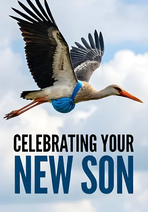 Flying Stork With Blue Bundle Soft Clouds