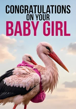 Pink Stork Carrying A Pink Bundle Against A Soft Sky