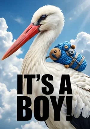 Stork With Blue Bundle Over Clouds