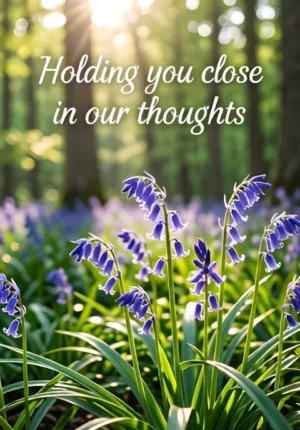 Bluebell Woodland Thoughts
