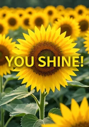 Sunflower Field You Shine