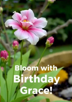Bloom With Birthday Grace